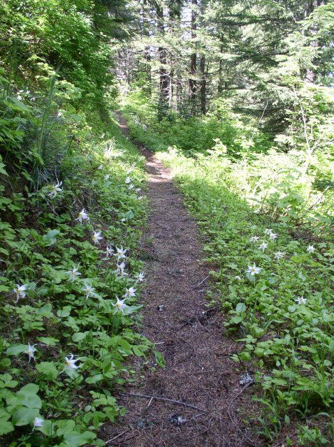 6.10.06 Table Mtn_3CR 134 